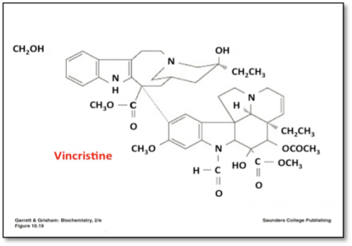 An expanded image of the Vincristine molecule.  in this image the final visual clean up is completed.  The text elements are now text boxes and accessible to screen readers.  The name 'Vincristine' is now a text item and highlighted in Red.  An instructor would then describe the image elements in this box.  The instructor could connect the description to text elements on the screen helping the student conceptualize the molecule.
