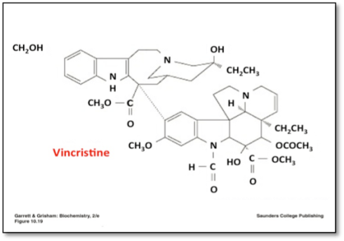 An expanded image of the Vincristine molecule.  in this image the final visual clean up is completed.  The text elements are now text boxes and accessible to screen readers.  The name 'Vincristine' is now a text item and highlighted in Red.  An instructor would then describe the image elements in this box.  The instructor could connect the description to text elements on the screen helping the student conceptualize the molecule.