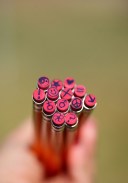 Eraser ends of wooden pencils personalized with peace symbols, flowers, signs and other decorations.