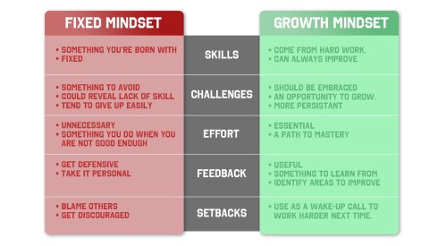 Based on Carol Dweck's mindset research.